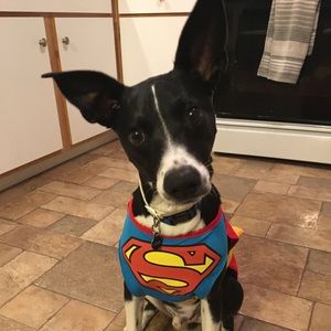 Meet your Posher, Mary beth